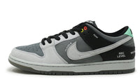 Nike SB Dunk Low VX1000
