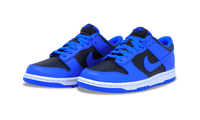 Nike Dunk Low Hyper Cobalt GS 2021 (CW1590-001) Grade School Size 4Y-7Y
