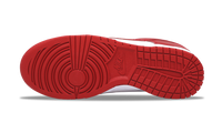 Nike Dunk Low USC