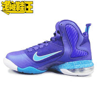 Nike Lebron 9 Hornets